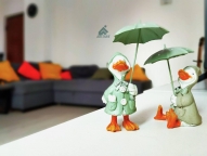 Visualizza le foto dell'immobile