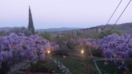 Visualizza le foto dell'immobile