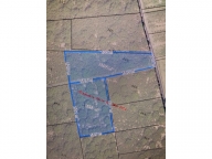 Visualizza le foto dell'immobile Visualizza le foto dell'immobile