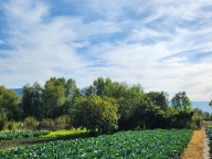 Visualizza le foto dell'immobile Visualizza le foto dell'immobile