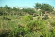 Visualizza le foto dell'immobile