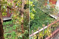 Visualizza le foto dell'immobile