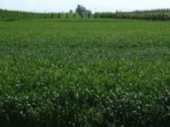 Visualizza le foto dell'immobile Visualizza le foto dell'immobile