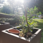 Visualizza le foto dell'immobile