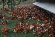 Visualizza le foto dell'immobile