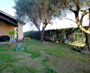 Visualizza le foto dell'immobile