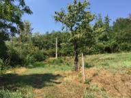 Visualizza le foto dell'immobile Visualizza le foto dell'immobile