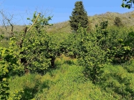 Visualizza le foto dell'immobile