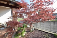 Visualizza le foto dell'immobile