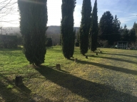 Visualizza le foto dell'immobile