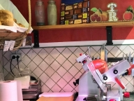 Visualizza le foto dell'immobile