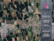 Visualizza le foto dell'immobile