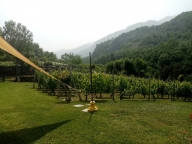 Visualizza le foto dell'immobile