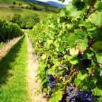 Visualizza le foto dell'immobile Visualizza le foto dell'immobile