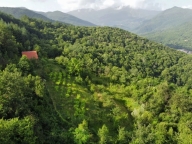 Visualizza le foto dell'immobile