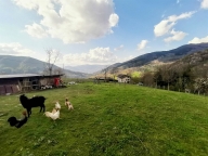 Visualizza le foto dell'immobile
