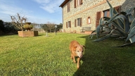Visualizza le foto dell'immobile