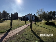 Visualizza le foto dell'immobile