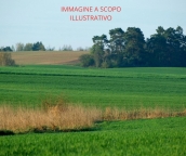 Visualizza le foto dell'immobile Visualizza le foto dell'immobile