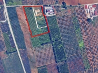 Visualizza le foto dell'immobile