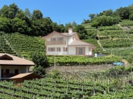 Visualizza le foto dell'immobile