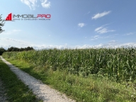 Visualizza le foto dell'immobile Visualizza le foto dell'immobile