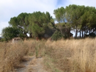 Visualizza le foto dell'immobile