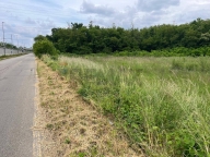 Visualizza le foto dell'immobile