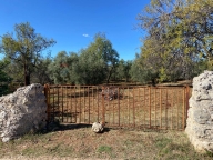 Visualizza le foto dell'immobile