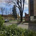 Visualizza le foto dell'immobile