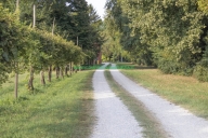 Visualizza le foto dell'immobile