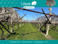 Visualizza le foto dell'immobile