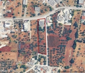 Visualizza le foto dell'immobile