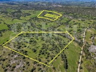 Visualizza le foto dell'immobile