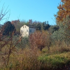 Visualizza le foto dell'immobile