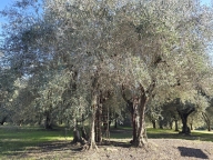 Visualizza le foto dell'immobile Visualizza le foto dell'immobile