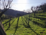 Visualizza le foto dell'immobile