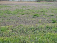 Visualizza le foto dell'immobile Visualizza le foto dell'immobile