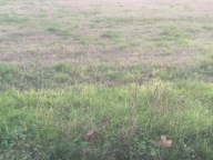 Visualizza le foto dell'immobile Visualizza le foto dell'immobile