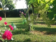 Visualizza le foto dell'immobile