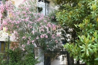 Vai alla scheda immobile Vai alla scheda immobile