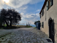 Visualizza le foto dell'immobile