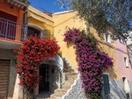 Visualizza le foto dell'immobile