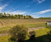 Visualizza le foto dell'immobile